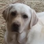 Steve Chilton - @steve.chilton.5011 - Instagram