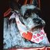 Stephen Chinn - Facebook
