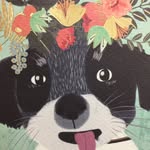 Steve Chinn - @chinn1875 - Instagram