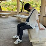 Steve Cho - @chochotrain - Instagram