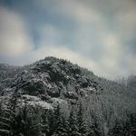 Steven Choate - @innocent_reality - Instagram