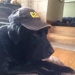 Steve Chubb - @steveemly - Instagram