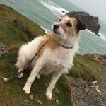 Steve Chubb - @chubbsteve - Instagram