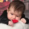 Steve LoCicero - @steve.locicero - TikTok
