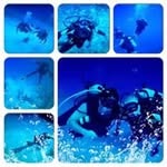 Steve Clement - @clement_steve - Instagram