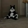 Steven Clemmer - @mr.mittens23 - TikTok