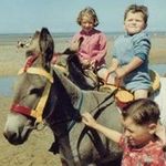 Steve Cliffe - @steve.cliffe - Instagram