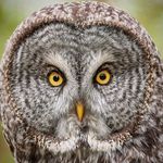 steve cliffe - @stev.e512 - Instagram