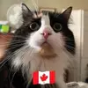 Steve Cloutier - @stevecloutier007 - TikTok