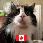 Steve Cloutier - Facebook