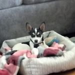 Steve Coburn - @coburn2564 - Instagram