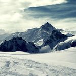 Steve Coburn - @solidaxlesteve - Instagram