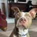 Steve Coburn - Facebook
