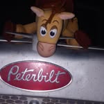 Steve cola - @stevecola2 - Instagram