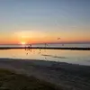 Steve Colasanti - @stevecolasanti - TikTok