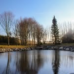 Steve Colucci - @stevecolucci - Instagram