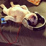Steve Colwell - @colwell.sc - Instagram