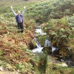 Steve Colwell - @colwell_steve - Instagram