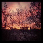 Steve Condon - @steve_condon - Instagram