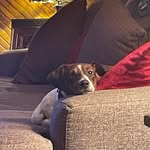 Steve Coney - @steveconey - Instagram