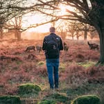 Steve Connor - @stevefromthepub - Instagram