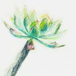 Steve Conover - @sconover - Instagram