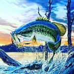 @_steven_coppola_ - Instagram