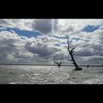 Steve Coppola - @coppola.steven - Instagram