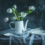 Steve course - @wangp3525 - Instagram