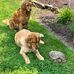 Steve Cousins - Facebook