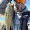 stevecousins842 - @stevecousins842 - TikTok