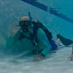 Steve Covington - @steve.covington.18 - Instagram