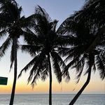 Steve Covington - @steve_covington - Instagram
