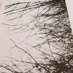 Stevie Lee Tanner-Craycraft - @stevieleetanner - Instagram