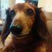 Steve Creason - Facebook