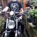 Stephen Cree - Facebook