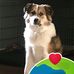 Steve Criswell - Facebook