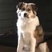 Steve Criswell - Facebook