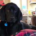 Steven Criswell - @sc_emtp - Instagram