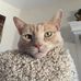 Steve Critchlow - Facebook