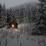 Steve Crossman - @steve_crossman - Instagram