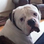 Steve Crowley - @crowley9739 - Instagram