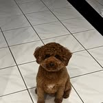 Steven Curcio - @stephen.curcio - Instagram