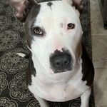 Steve Cushman - @steve_cushman - Instagram
