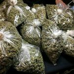 Stevekushman - @stevecushman20 - Instagram