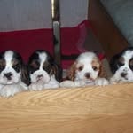 Steve Daggett - @steve.daggett.3 - Instagram