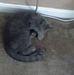 Steve Dallman - Facebook