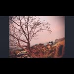 Stephen Sowunmi | Visual or UI Designer - @stevedamii - Instagram