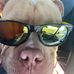 Steve Dawe - Facebook