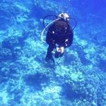 Steve DeAnda - @stevedeanda - Instagram